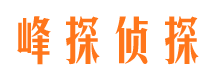 长清调查公司